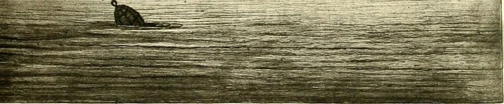 An illustration from The iconography of Manhattan Island, 1498-1909 : compiled from original sources and illustrated by photo-intaglio reproductions of important maps, plans, views, and documents in public and private collections, 1915, leaf 642