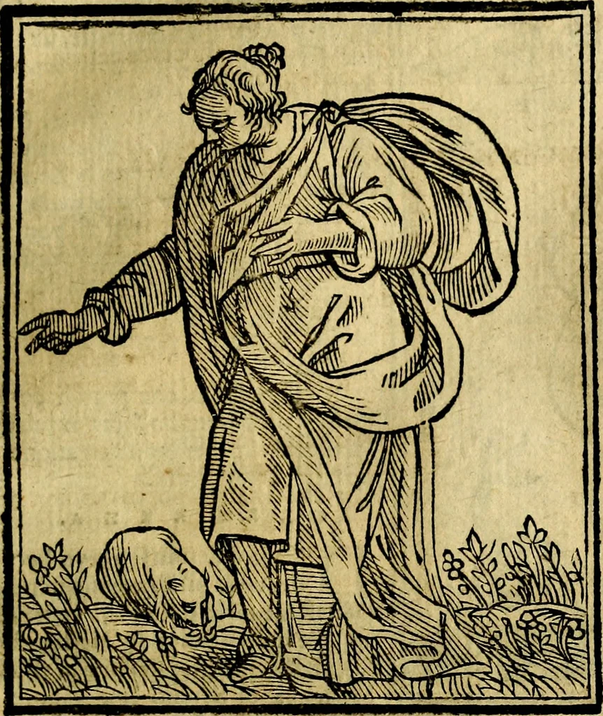 An illustration from Iconologia, 1645, leaf 160