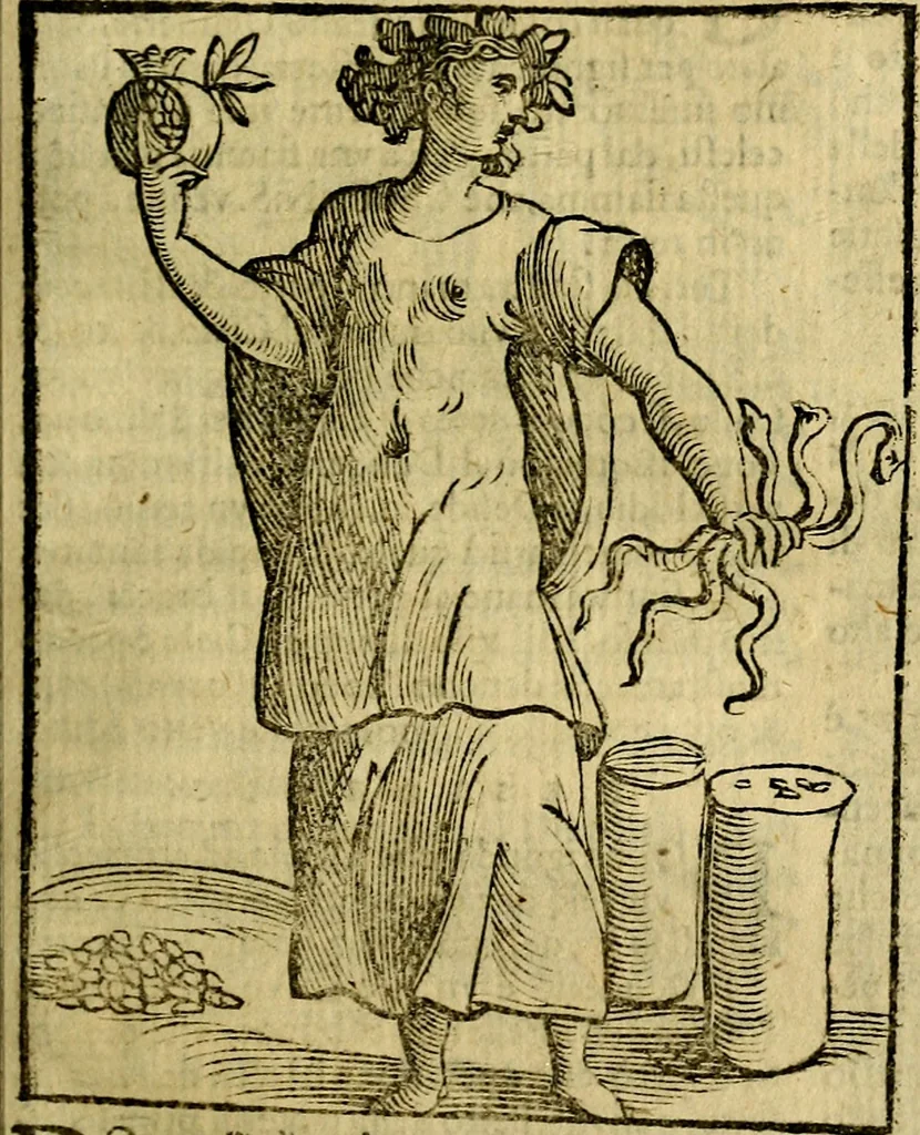 An illustration from Iconologia, 1645, leaf 214