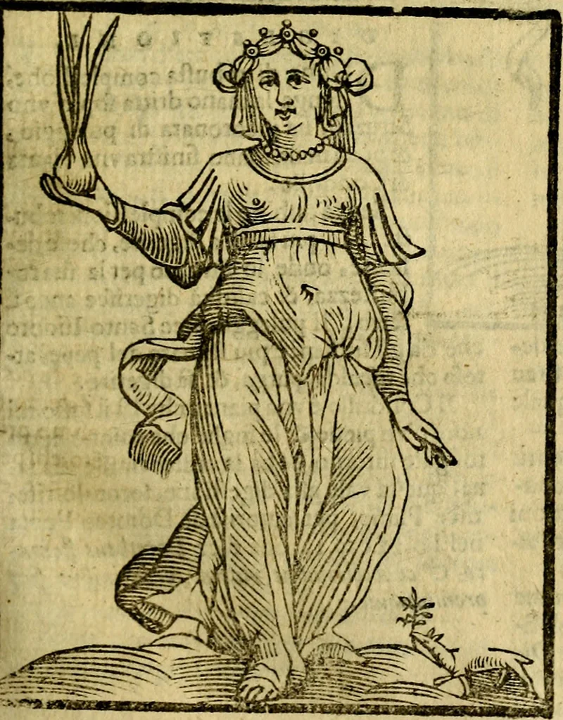 An illustration from Iconologia, 1645, leaf 218