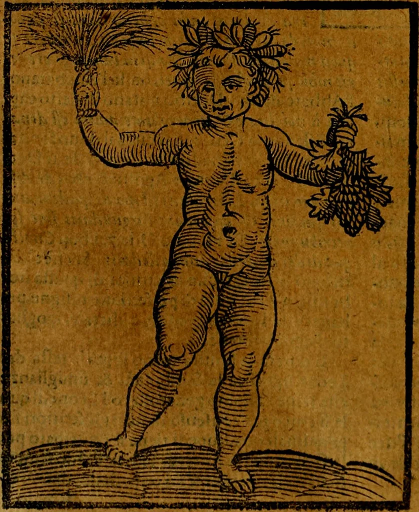 An illustration from Iconologia, 1645, leaf 311
