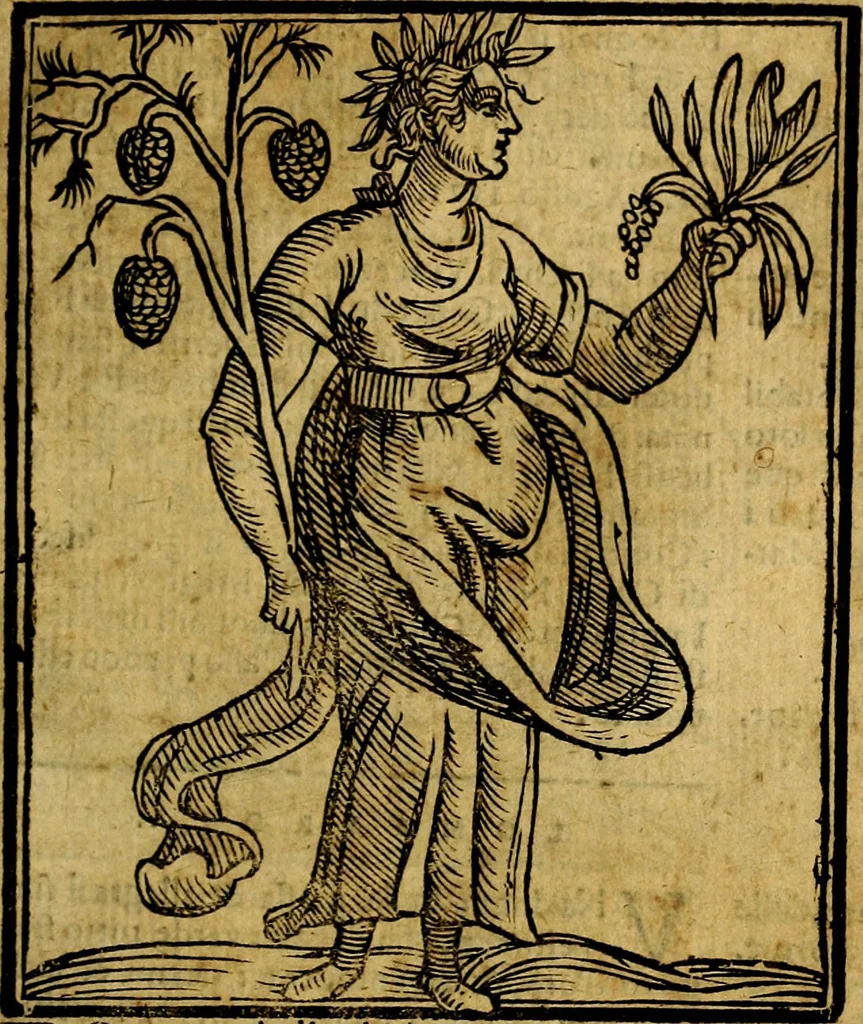 An illustration from Iconologia, 1645, leaf 404