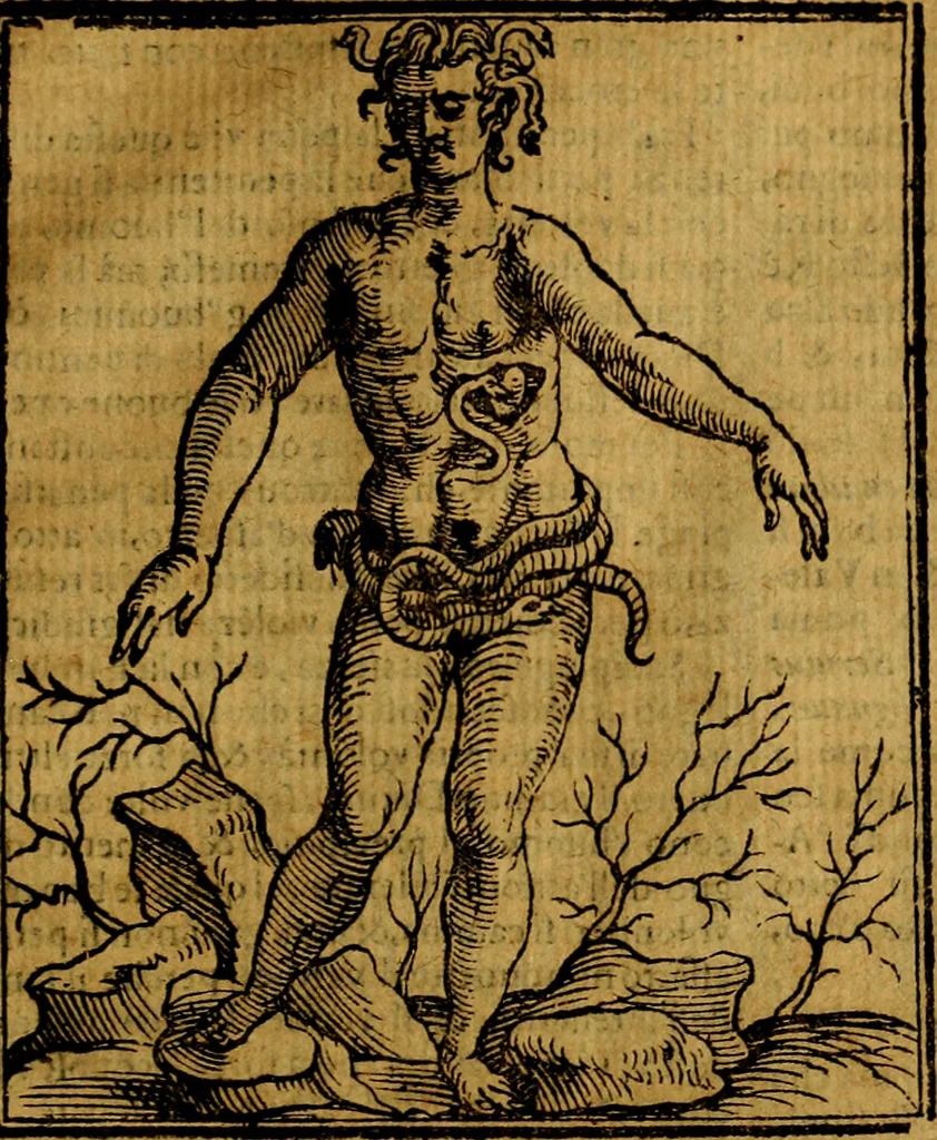 An illustration from Iconologia, 1645, leaf 548