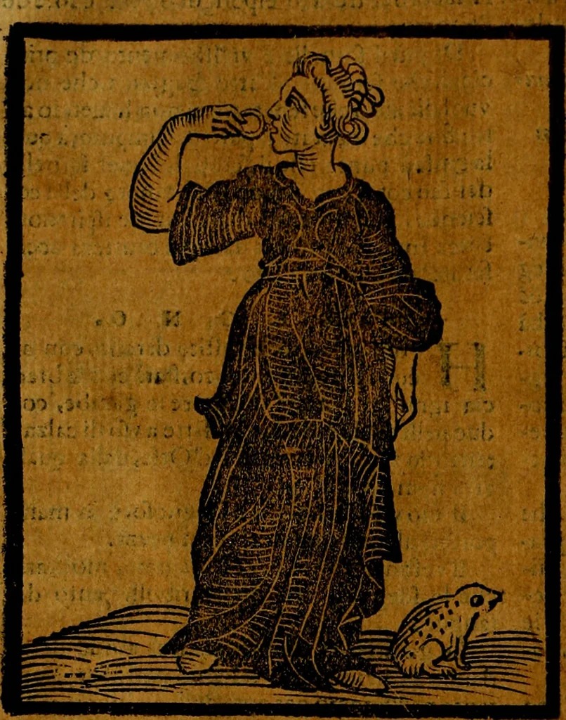 An illustration from Iconologia, 1645, leaf 631