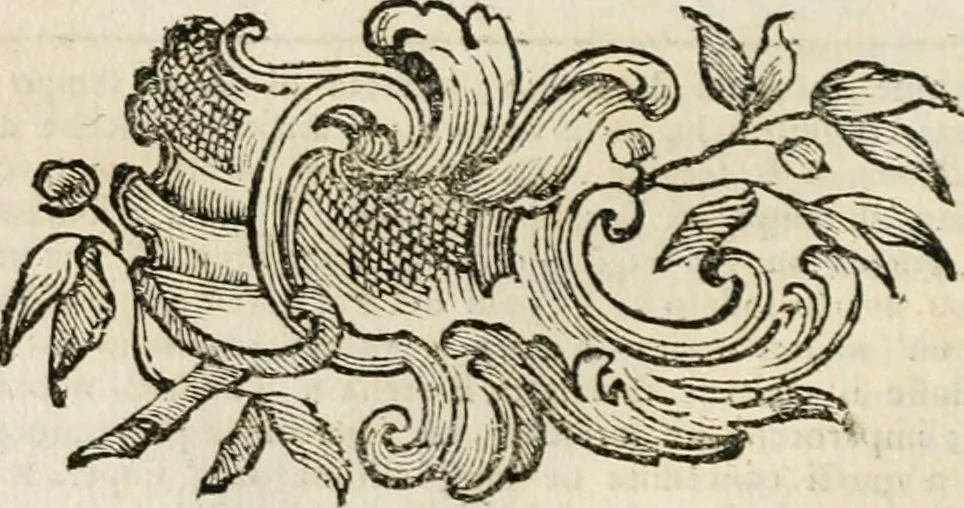 An illustration from Iconologia, 1764, leaf 123