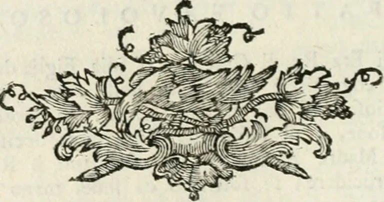 An illustration from Iconologia, 1764, leaf 313