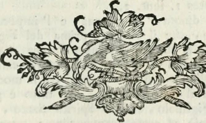 An illustration from Iconologia, 1764, leaf 372