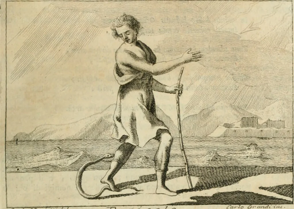 An illustration from Iconologia, 1764, leaf 374