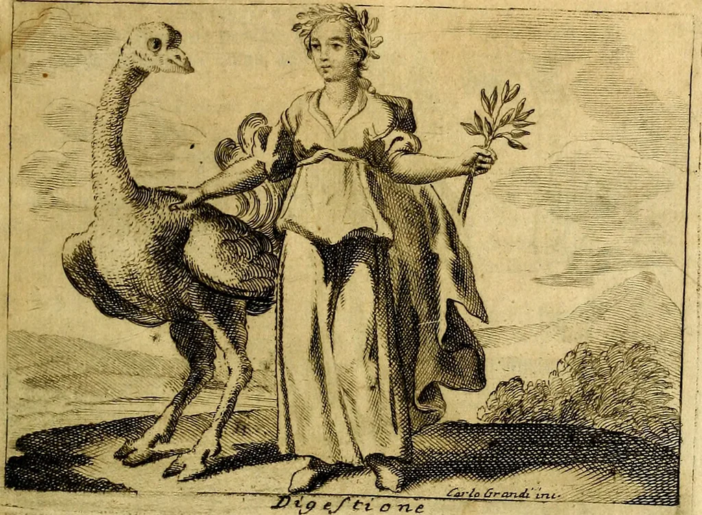 An illustration from Iconologia, 1764, leaf 208