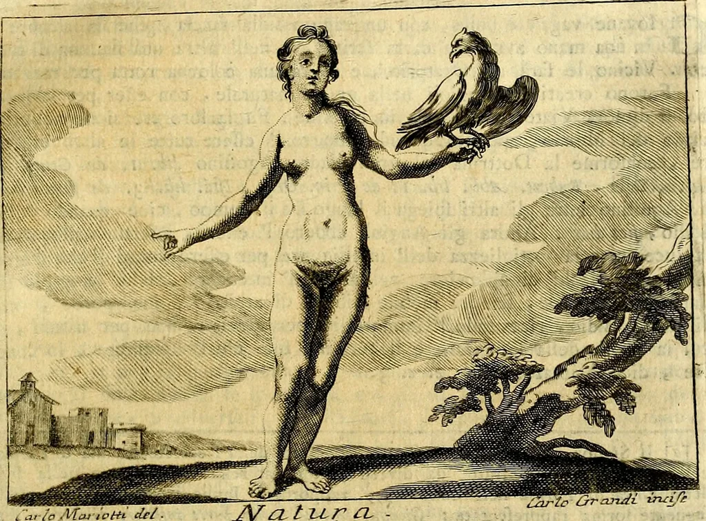 An illustration from Iconologia, 1764, leaf 210