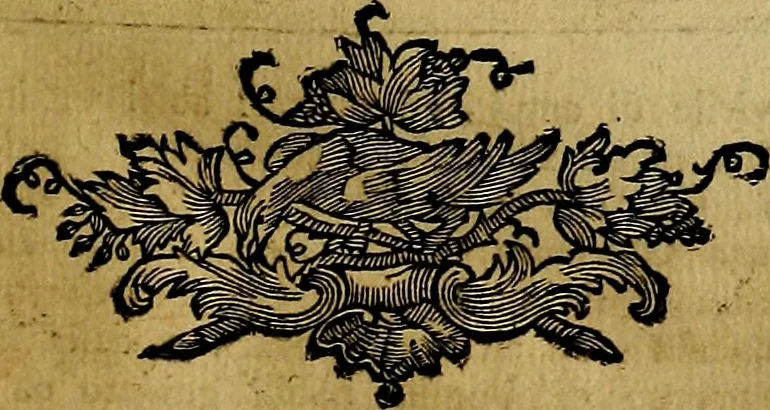 An illustration from Iconologia, 1764, leaf 214