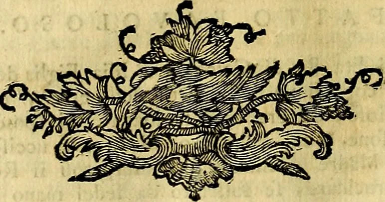 An illustration from Iconologia, 1764, leaf 313