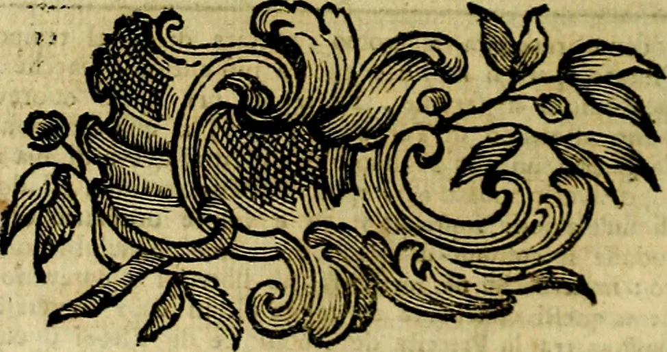 An illustration from Iconologia del cavaliere Cesare Ripa, perugino, 1764, leaf 121