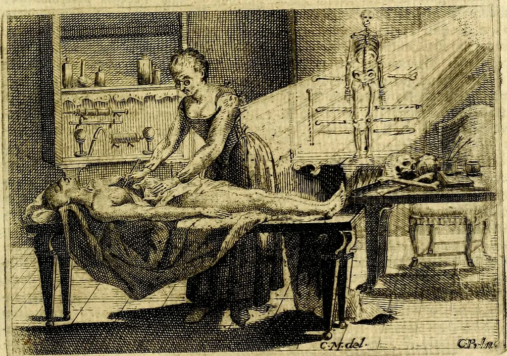 An illustration from Iconologia del cavaliere Cesare Ripa, perugino, 1764, leaf 180