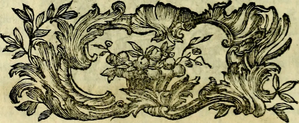 An illustration from Iconologia del cavaliere Cesare Ripa, perugino, 1764, leaf 37