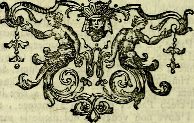 An illustration from Iconologia del cavaliere Cesare Ripa, perugino, 1764, leaf 411