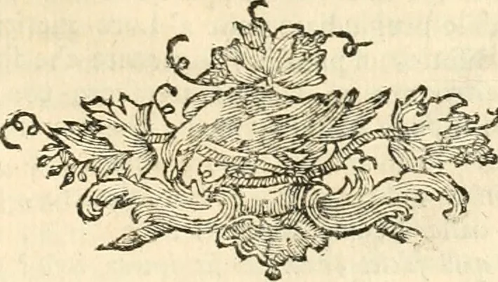 An illustration from Iconologia del cavaliere Cesare Ripa, perugino, 1764, leaf 104