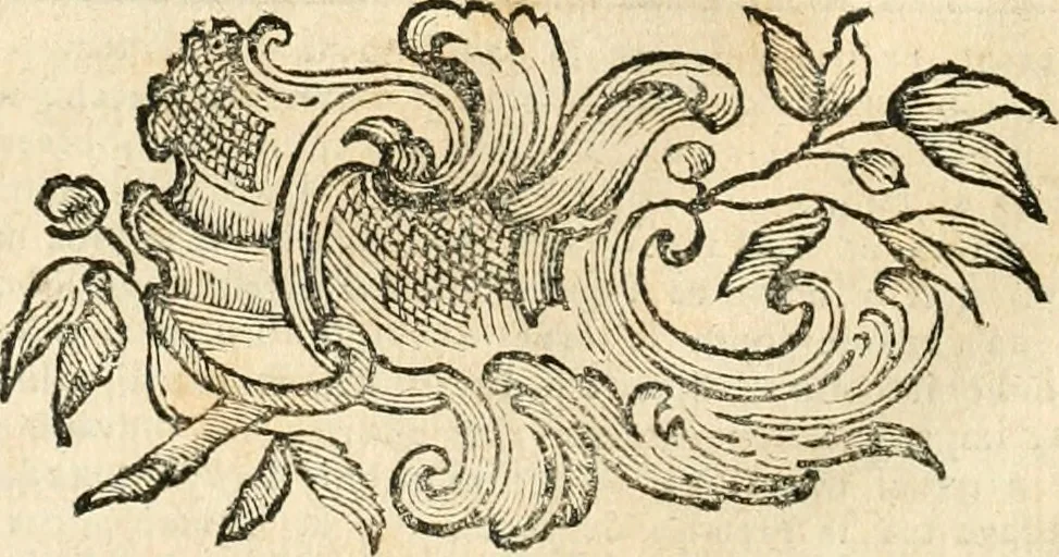 An illustration from Iconologia del cavaliere Cesare Ripa, perugino, 1764, leaf 123
