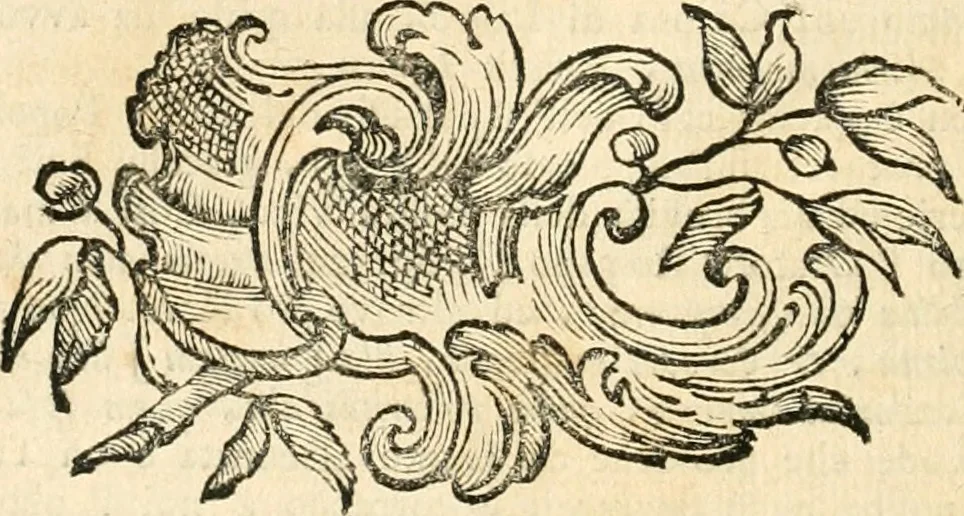 An illustration from Iconologia del cavaliere Cesare Ripa, perugino, 1764, leaf 197