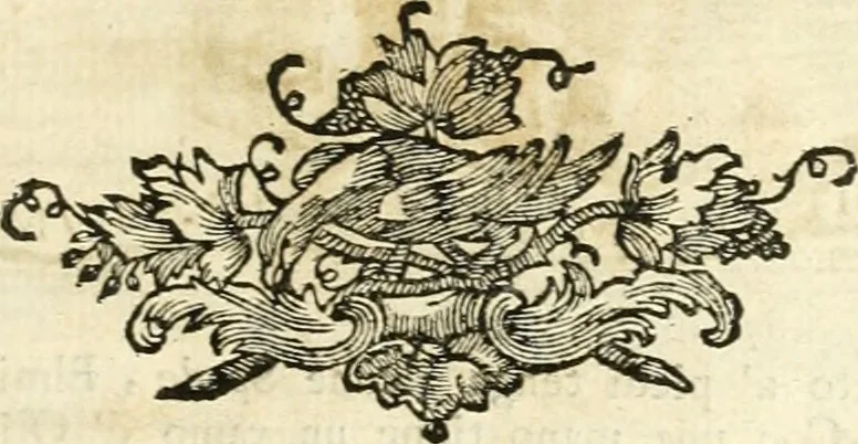 An illustration from Iconologia del cavaliere Cesare Ripa, perugino, 1764, leaf 266