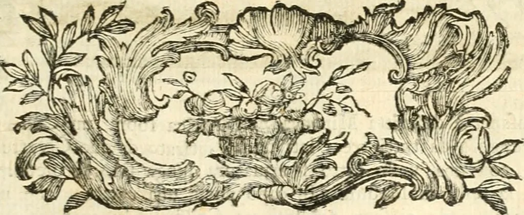An illustration from Iconologia del cavaliere Cesare Ripa, perugino, 1764, leaf 362