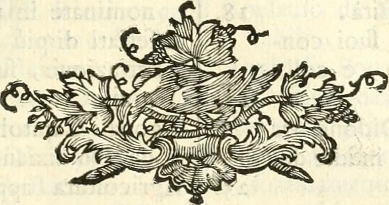 An illustration from Iconologia del cavaliere Cesare Ripa, perugino, 1764, leaf 418