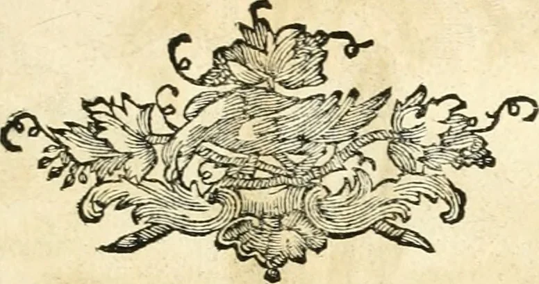 An illustration from Iconologia del cavaliere Cesare Ripa, perugino, 1764, leaf 198