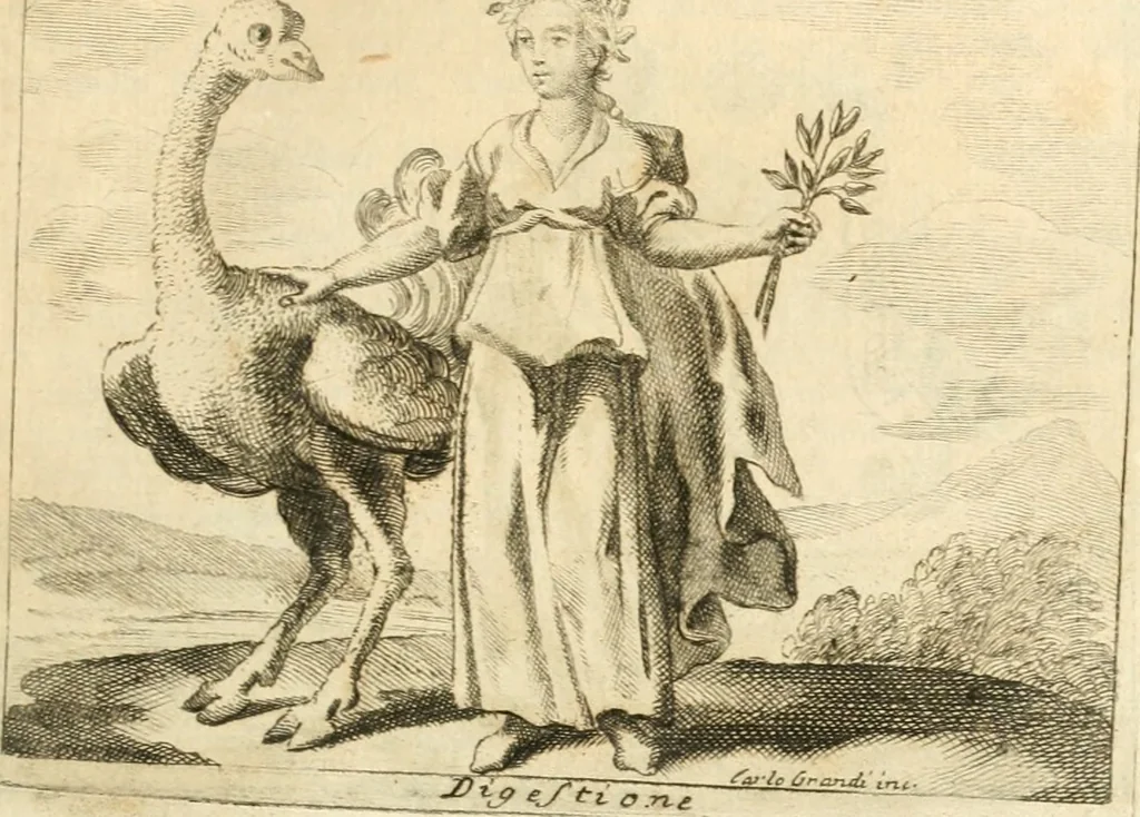 An illustration from Iconologia del cavaliere Cesare Ripa, perugino, 1764, leaf 208