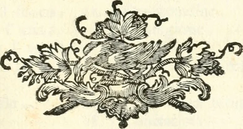 An illustration from Iconologia del cavaliere Cesare Ripa, perugino, 1764, leaf 398