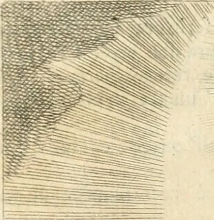 An illustration from Iconologia del cavaliere Cesare Ripa, perugino, 1764, leaf 235