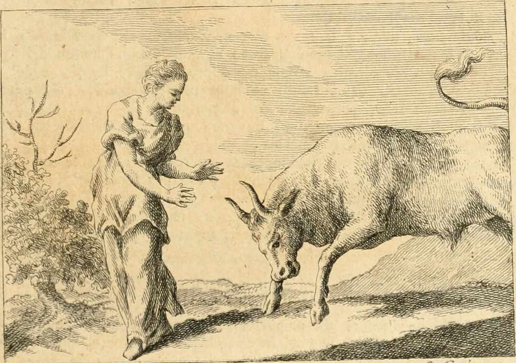 An illustration from Iconologia del cavaliere Cesare Ripa, perugino, 1764, leaf 312