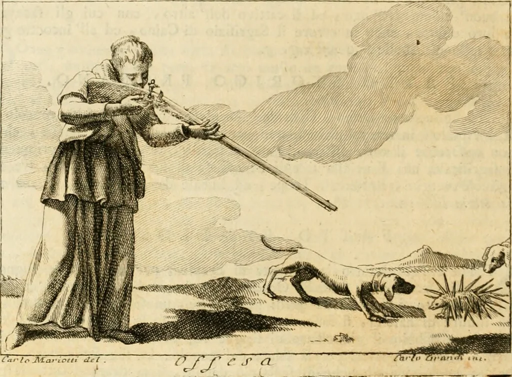 An illustration from Iconologia del cavaliere Cesare Ripa, perugino, 1764, leaf 273