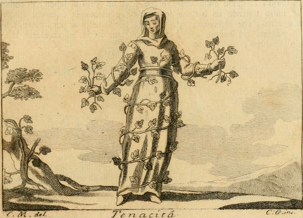 An illustration from Iconologia del cavaliere Cesare Ripa, perugino, 1764, leaf 278