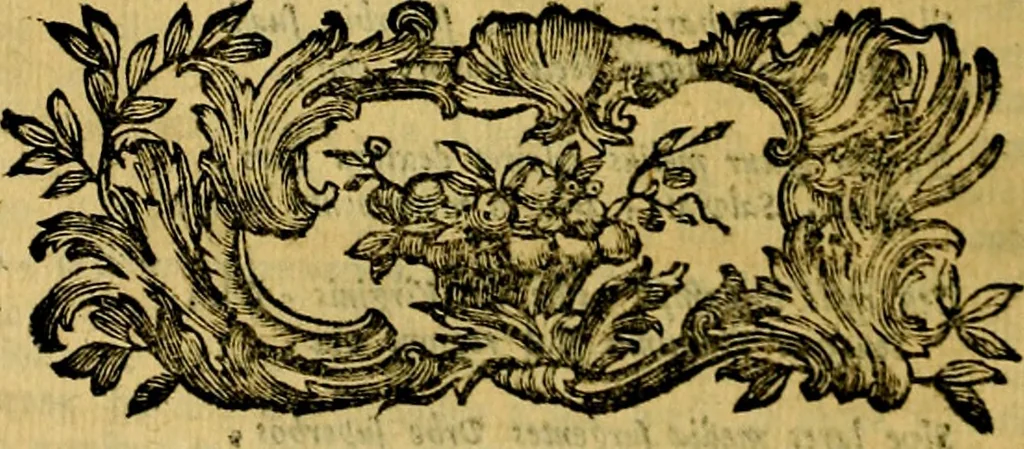 An illustration from Iconologia del cavaliere Cesare Ripa, perugino, 1764, leaf 219