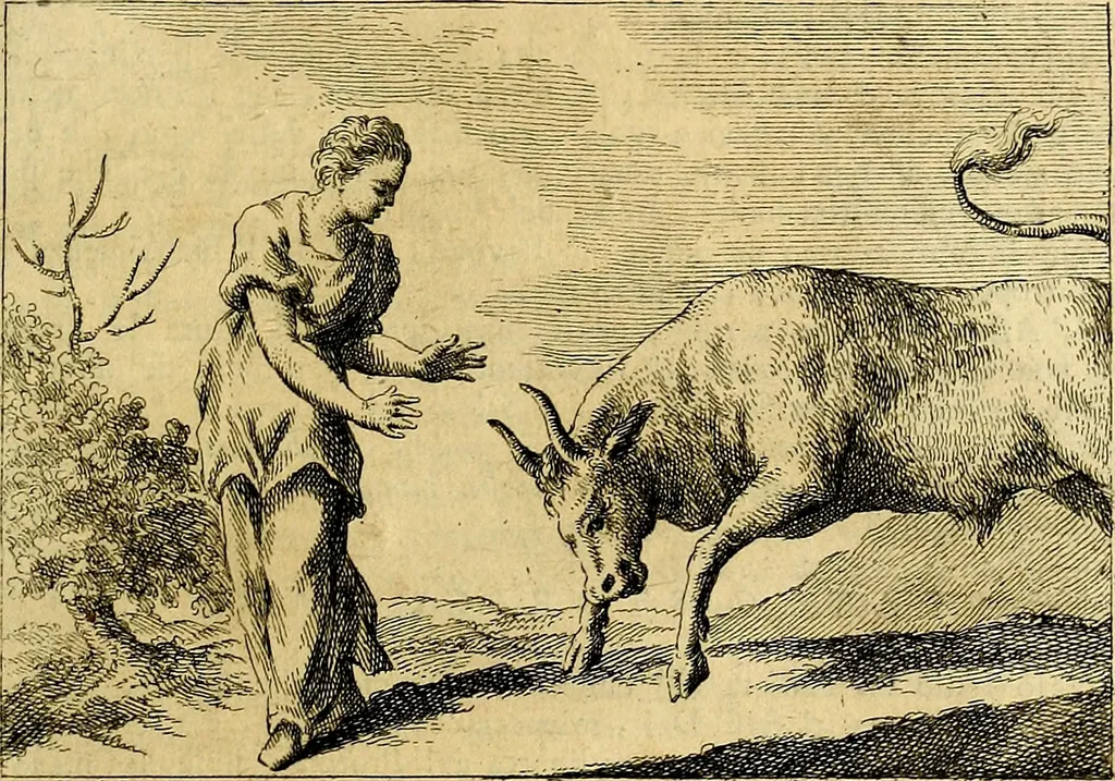 An illustration from Iconologia del cavaliere Cesare Ripa, perugino, 1764, leaf 312