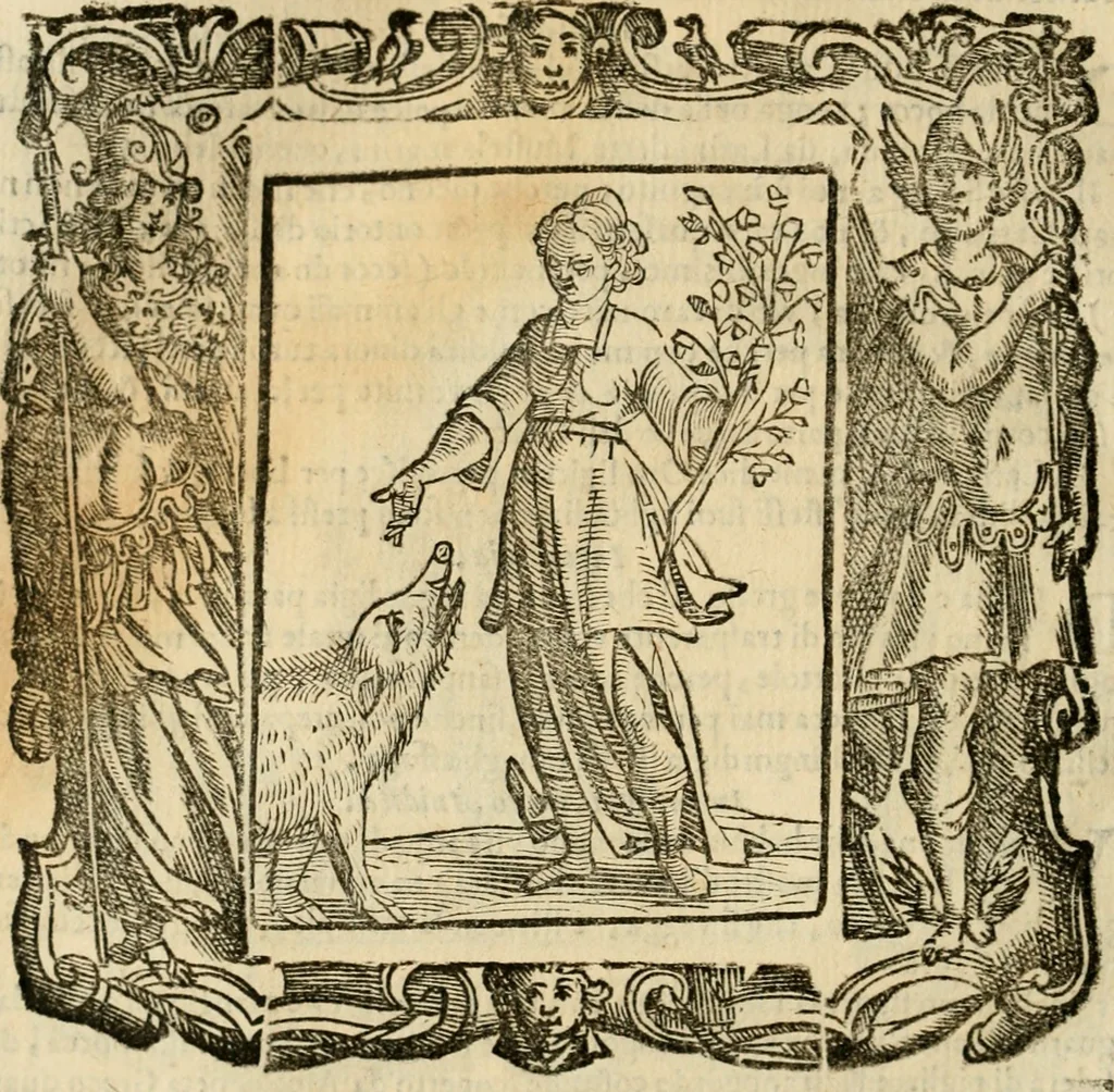 An illustration from Iconologia di Cesare Ripa perugino, cavre. de sti. Mauritio, e Lazzaro : nella quale si descriuono diuerse imagini di virtù, vitij, affetti, passioni humane, arti, discipline, humori, elementi, corpi celesti, prouincie d'Italia, fiumi, tutte le parti del mondo, ed altere infinite materie : opera vtile ad oratori, predicatori, poeti, pittori, scultori, disegnatori, e ad ogni studioso .., 1613, leaf 355