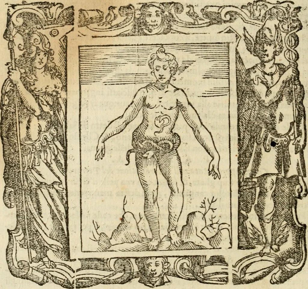 An illustration from Iconologia di Cesare Ripa perugino, cavre. de sti. Mauritio, e Lazzaro : nella quale si descriuono diuerse imagini di virtù, vitij, affetti, passioni humane, arti, discipline, humori, elementi, corpi celesti, prouincie d'Italia, fiumi, tutte le parti del mondo, ed altere infinite materie : opera vtile ad oratori, predicatori, poeti, pittori, scultori, disegnatori, e ad ogni studioso .., 1613, leaf 547
