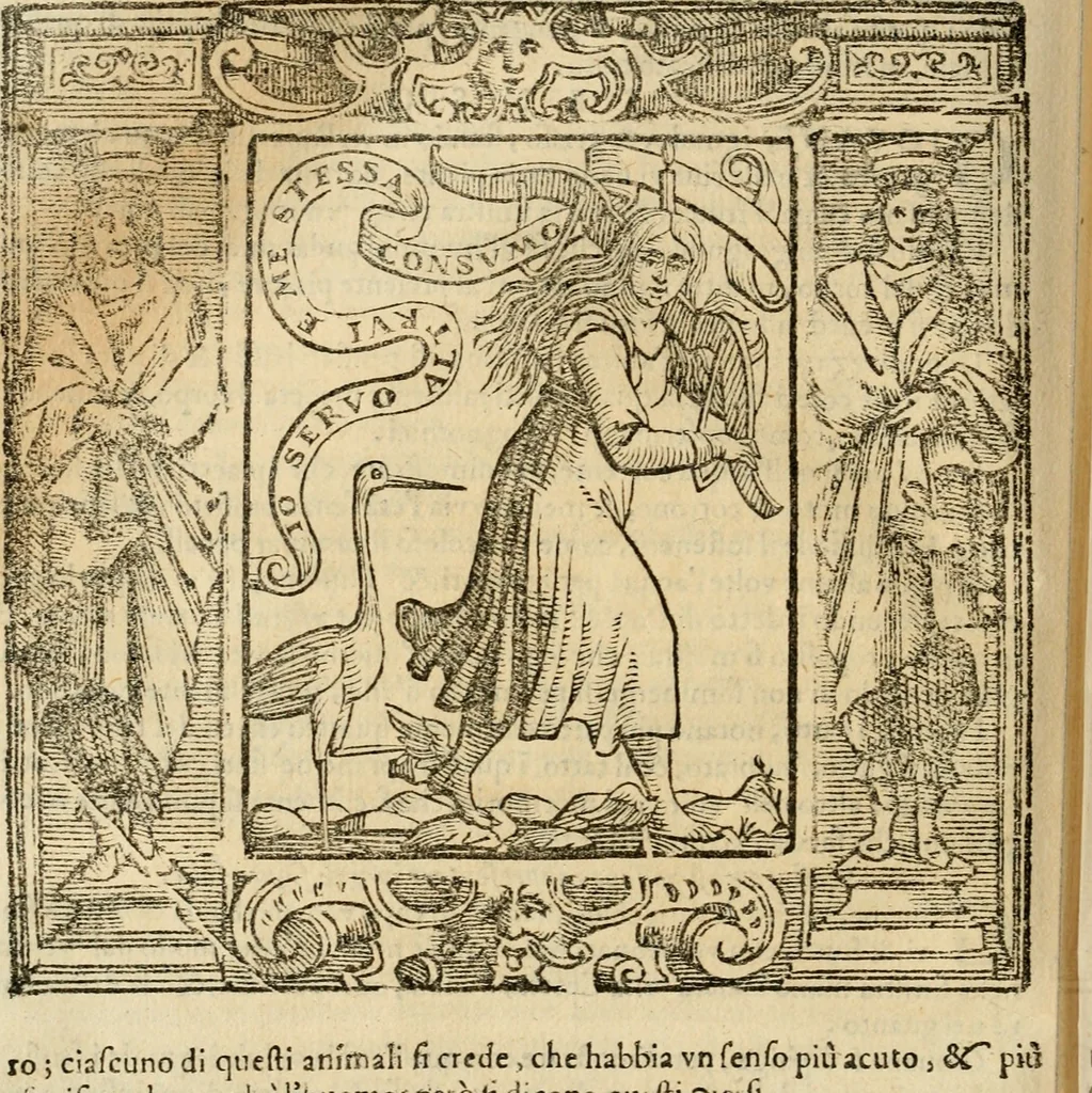 An illustration from Iconologia di Cesare Ripa perugino, cavre. de sti. Mauritio, e Lazzaro : nella quale si descriuono diuerse imagini di virtù, vitij, affetti, passioni humane, arti, discipline, humori, elementi, corpi celesti, prouincie d'Italia, fiumi, tutte le parti del mondo, ed altere infinite materie : opera vtile ad oratori, predicatori, poeti, pittori, scultori, disegnatori, e ad ogni studioso .., 1613, leaf 645