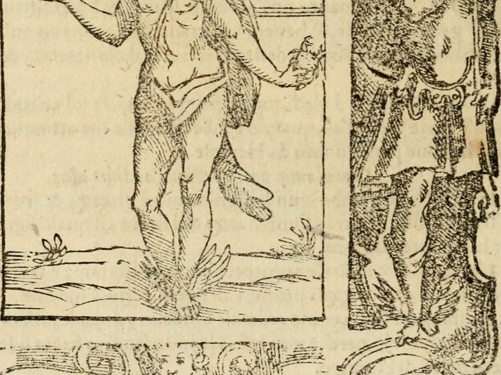 An illustration from Iconologia di Cesare Ripa perugino, cavre. de sti. Mauritio, e Lazzaro : nella quale si descriuono diuerse imagini di virtù, vitij, affetti, passioni humane, arti, discipline, humori, elementi, corpi celesti, prouincie d'Italia, fiumi, tutte le parti del mondo, ed altere infinite materie : opera vtile ad oratori, predicatori, poeti, pittori, scultori, disegnatori, e ad ogni studioso .., 1613, leaf 655