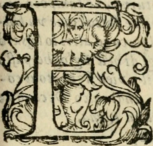 An illustration from Iconologia di Cesare Ripa perugino, cavre. de sti. Mauritio, e Lazzaro : nella quale si descriuono diuerse imagini di virtù, vitij, affetti, passioni humane, arti, discipline, humori, elementi, corpi celesti, prouincie d'Italia, fiumi, tutte le parti del mondo, ed altere infinite materie : opera vtile ad oratori, predicatori, poeti, pittori, scultori, disegnatori, e ad ogni studioso .., 1613, leaf 788