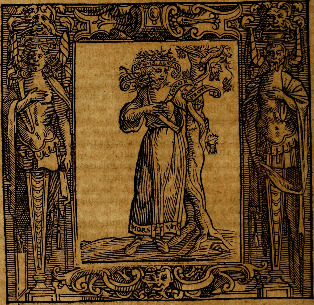 An illustration from Iconologia di Cesare Ripa Perugina ... Nella quale si descrivono diverse imagini di virtù, vitij, affetti, passioni humane, arti discipline, humori, elementi, corpi celesti, prouincie d'Italia, fiumi, tutte le parti del mondo, ed altre infinite materie. Opera utile ad oratori, predicatori, poeti pittori, sculptori, disegnatori, e ad ogni studioso, per inuentar concetti, emblemi, ed imprese, per diuisare qualsiuoglia appatato nuttiale, funerale, trionfale. Per rappresentar poemi drammatici, e per figurare co'suoi propij simboli ciò, che può cadere in pensiero humano. Ampliata ultimamente dallo stresso autore di CC. imagini, e erricchita di molti discorsi pieni di varia eruditione .., 1613, leaf 39