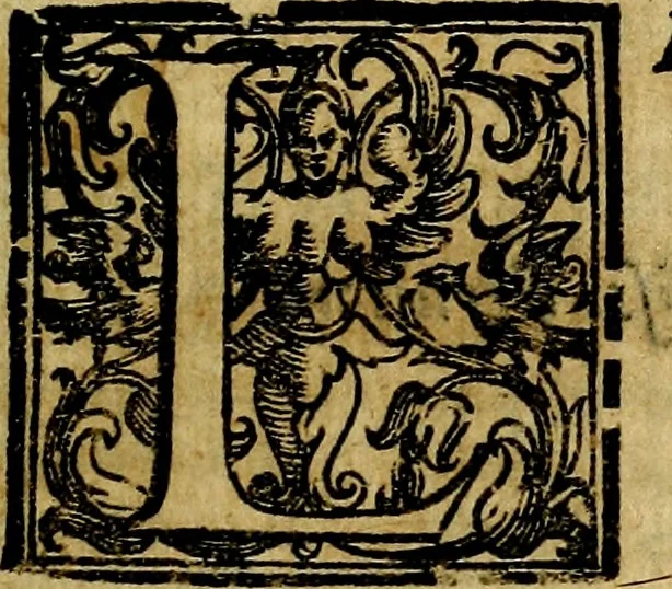 An illustration from Iconologia di Cesare Ripa Perugina ... Nella quale si descrivono diverse imagini di virtù, vitij, affetti, passioni humane, arti discipline, humori, elementi, corpi celesti, prouincie d'Italia, fiumi, tutte le parti del mondo, ed altre infinite materie. Opera utile ad oratori, predicatori, poeti pittori, sculptori, disegnatori, e ad ogni studioso, per inuentar concetti, emblemi, ed imprese, per diuisare qualsiuoglia appatato nuttiale, funerale, trionfale. Per rappresentar poemi drammatici, e per figurare co'suoi propij simboli ciò, che può cadere in pensiero humano. Ampliata ultimamente dallo stresso autore di CC. imagini, e erricchita di molti discorsi pieni di varia eruditione .., 1613, leaf 8