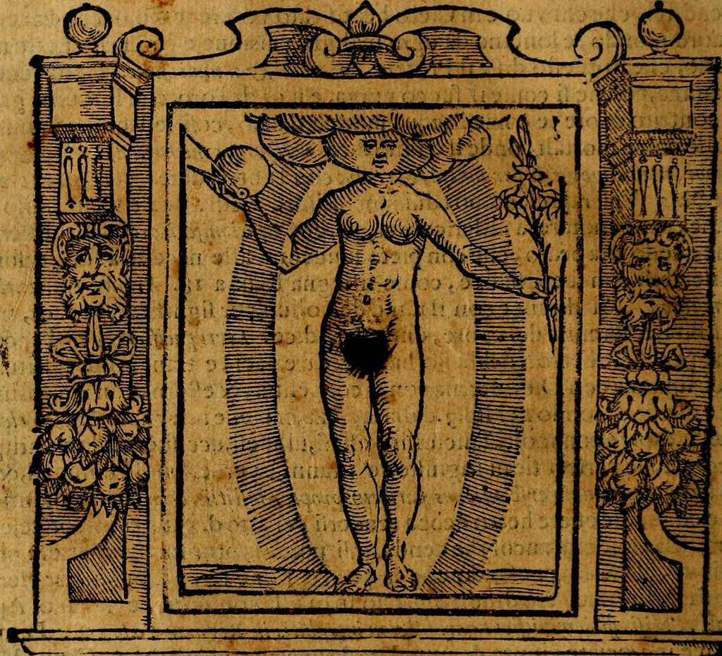 An illustration from Iconologia di Cesare Ripa Perugina ... Nella quale si descrivono diverse imagini di virtù, vitij, affetti, passioni humane, arti discipline, humori, elementi, corpi celesti, prouincie d'Italia, fiumi, tutte le parti del mondo, ed altre infinite materie. Opera utile ad oratori, predicatori, poeti pittori, sculptori, disegnatori, e ad ogni studioso, per inuentar concetti, emblemi, ed imprese, per diuisare qualsiuoglia appatato nuttiale, funerale, trionfale. Per rappresentar poemi drammatici, e per figurare co'suoi propij simboli ciò, che può cadere in pensiero humano. Ampliata ultimamente dallo stresso autore di CC. imagini, e erricchita di molti discorsi pieni di varia eruditione .., 1613, leaf 127