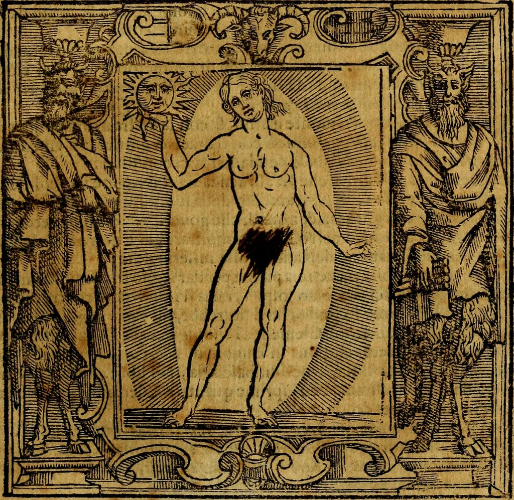 An illustration from Iconologia di Cesare Ripa Perugina ... Nella quale si descrivono diverse imagini di virtù, vitij, affetti, passioni humane, arti discipline, humori, elementi, corpi celesti, prouincie d'Italia, fiumi, tutte le parti del mondo, ed altre infinite materie. Opera utile ad oratori, predicatori, poeti pittori, sculptori, disegnatori, e ad ogni studioso, per inuentar concetti, emblemi, ed imprese, per diuisare qualsiuoglia appatato nuttiale, funerale, trionfale. Per rappresentar poemi drammatici, e per figurare co'suoi propij simboli ciò, che può cadere in pensiero humano. Ampliata ultimamente dallo stresso autore di CC. imagini, e erricchita di molti discorsi pieni di varia eruditione .., 1613, leaf 164
