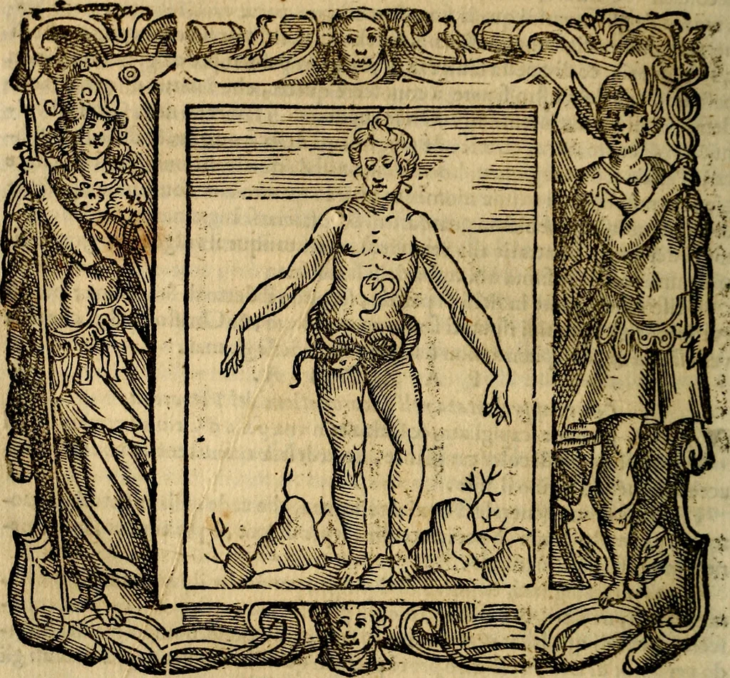 An illustration from Iconologia di Cesare Ripa Perugina ... Nella quale si descrivono diverse imagini di virtù, vitij, affetti, passioni humane, arti discipline, humori, elementi, corpi celesti, prouincie d'Italia, fiumi, tutte le parti del mondo, ed altre infinite materie. Opera utile ad oratori, predicatori, poeti pittori, sculptori, disegnatori, e ad ogni studioso, per inuentar concetti, emblemi, ed imprese, per diuisare qualsiuoglia appatato nuttiale, funerale, trionfale. Per rappresentar poemi drammatici, e per figurare co'suoi propij simboli ciò, che può cadere in pensiero humano. Ampliata ultimamente dallo stresso autore di CC. imagini, e erricchita di molti discorsi pieni di varia eruditione .., 1613, leaf 591