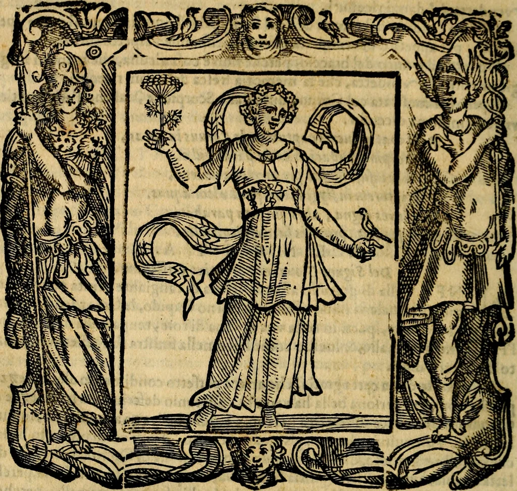 An illustration from Iconologia di Cesare Ripa Perugina ... Nella quale si descrivono diverse imagini di virtù, vitij, affetti, passioni humane, arti discipline, humori, elementi, corpi celesti, prouincie d'Italia, fiumi, tutte le parti del mondo, ed altre infinite materie. Opera utile ad oratori, predicatori, poeti pittori, sculptori, disegnatori, e ad ogni studioso, per inuentar concetti, emblemi, ed imprese, per diuisare qualsiuoglia appatato nuttiale, funerale, trionfale. Per rappresentar poemi drammatici, e per figurare co'suoi propij simboli ciò, che può cadere in pensiero humano. Ampliata ultimamente dallo stresso autore di CC. imagini, e erricchita di molti discorsi pieni di varia eruditione .., 1613, leaf 785