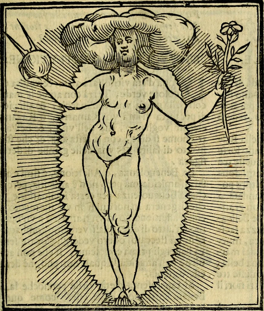 An illustration from Iconologia di Cesare Ripa ... Divisa in tre libri, ne i quali si esprimono varie imagini di virtù, vitij, affetti, passioni humane, arti, discipline, humori, elementi, corpi celesti, prouincie d'Italia, fiumi, & altre materie infinite vtili ad ogni stato di persone, 1669, leaf 124
