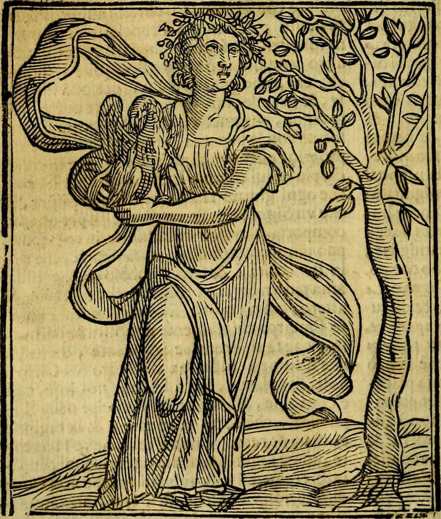An illustration from Iconologia di Cesare Ripa ... Divisa in tre libri, ne i quali si esprimono varie imagini di virtù, vitij, affetti, passioni humane, arti, discipline, humori, elementi, corpi celesti, prouincie d'Italia, fiumi, & altre materie infinite vtili ad ogni stato di persone, 1669, leaf 135