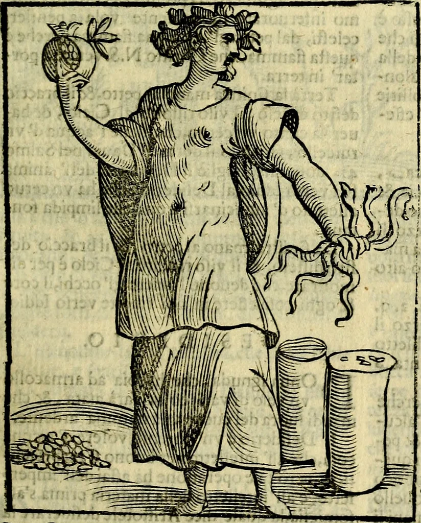 An illustration from Iconologia di Cesare Ripa ... Divisa in tre libri, ne i quali si esprimono varie imagini di virtù, vitij, affetti, passioni humane, arti, discipline, humori, elementi, corpi celesti, prouincie d'Italia, fiumi, & altre materie infinite vtili ad ogni stato di persone, 1669, leaf 206