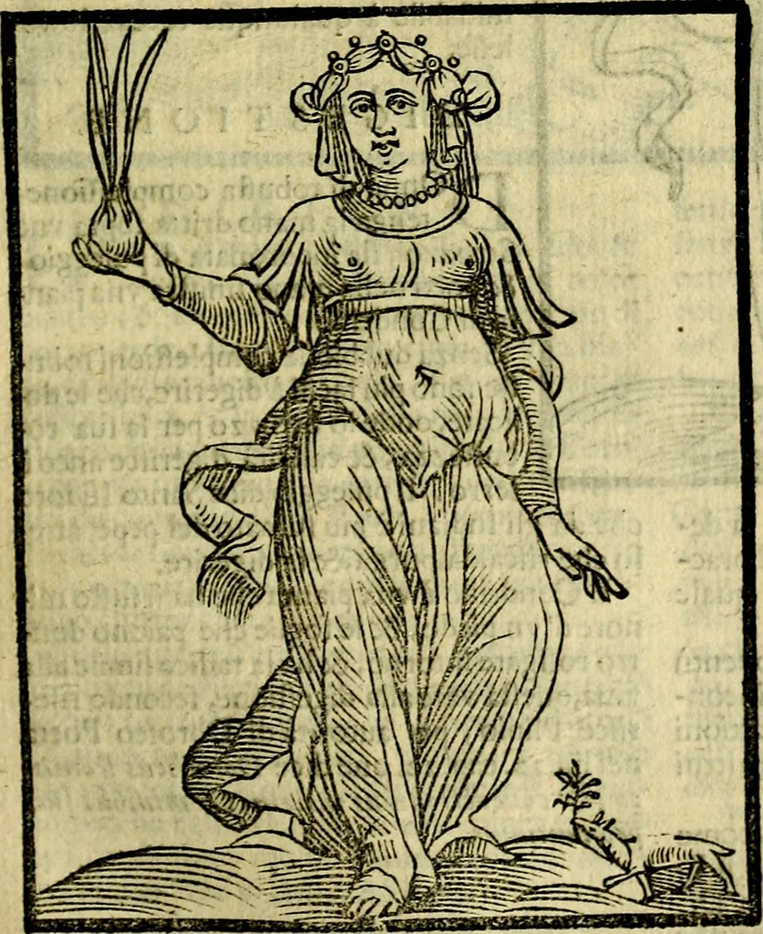An illustration from Iconologia di Cesare Ripa ... Divisa in tre libri, ne i quali si esprimono varie imagini di virtù, vitij, affetti, passioni humane, arti, discipline, humori, elementi, corpi celesti, prouincie d'Italia, fiumi, & altre materie infinite vtili ad ogni stato di persone, 1669, leaf 210